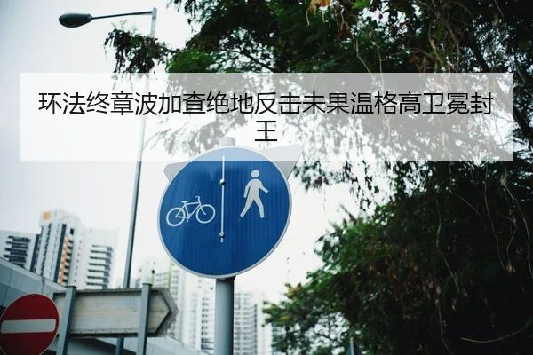 环法终章波加查绝地反击未果温格高卫冕封王