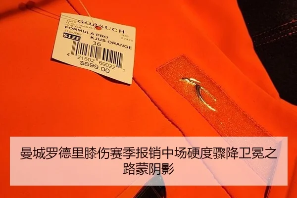 曼城罗德里膝伤赛季报销中场硬度骤降卫冕之路蒙阴影